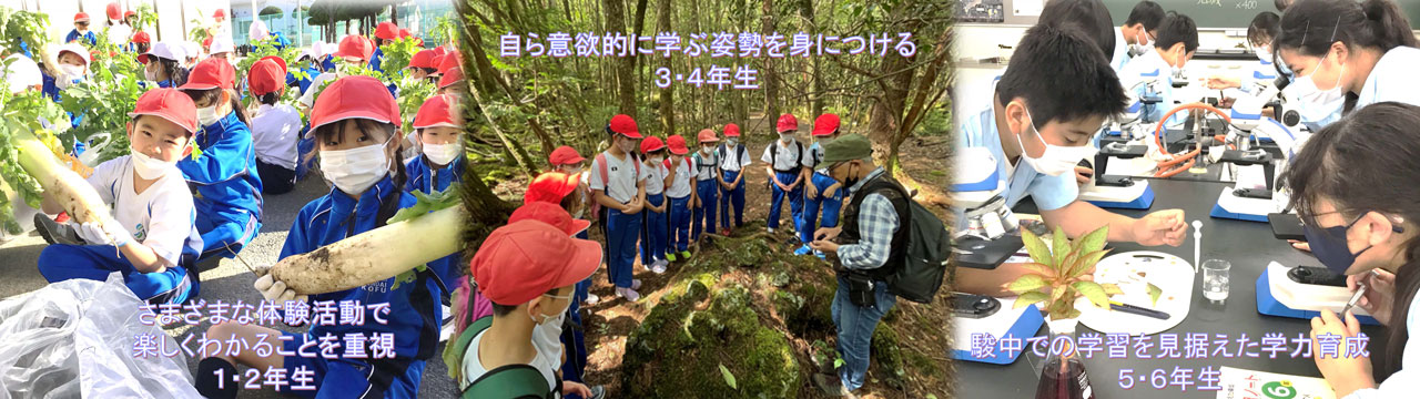 小中高１２年一貫教育