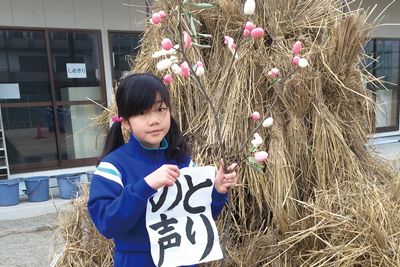 体験学習
