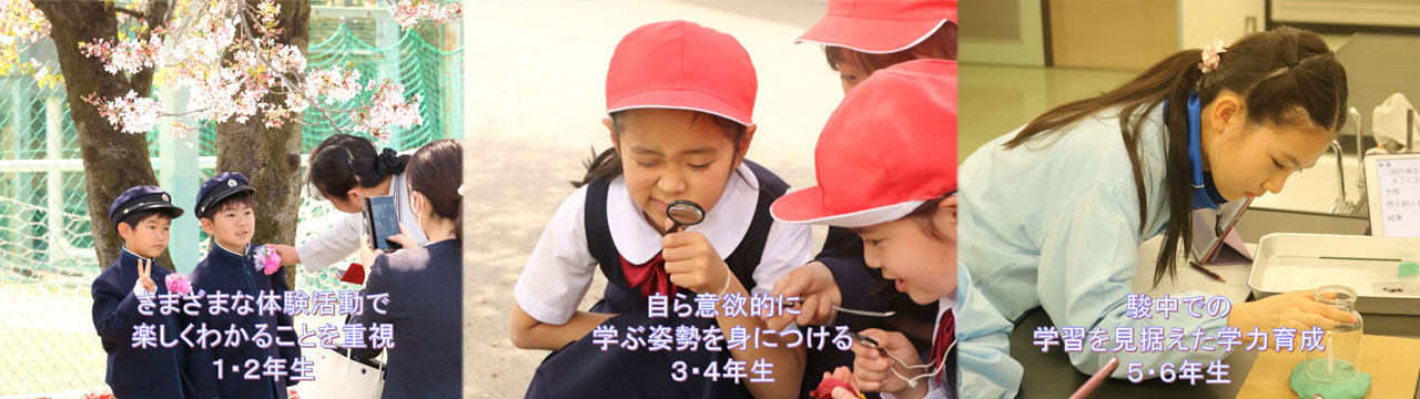 小中高１２年一貫教育