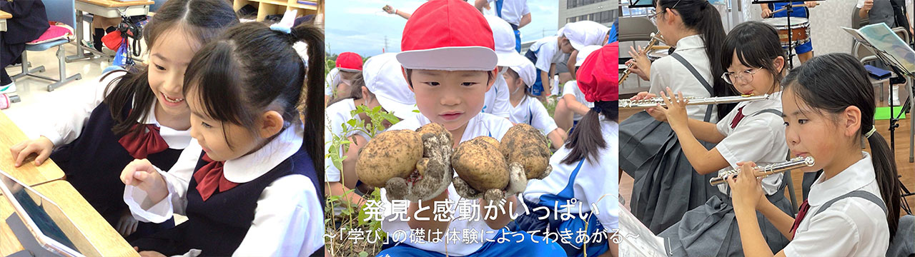 学びの特色